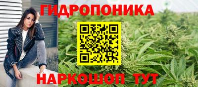 индика Малоярославец