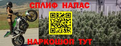 гашик Малгобек