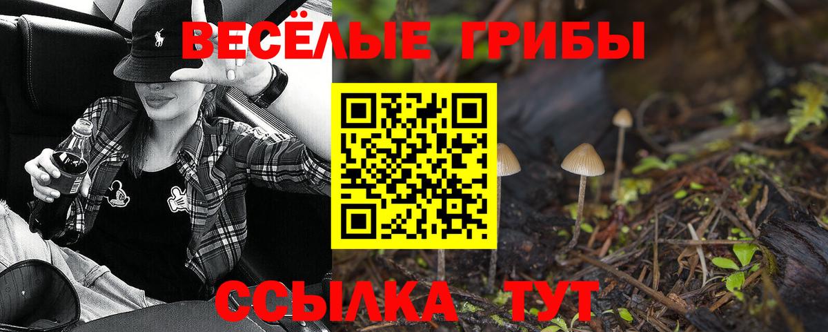 Галлюциногенные грибы Psilocybine cubensis Бузулук